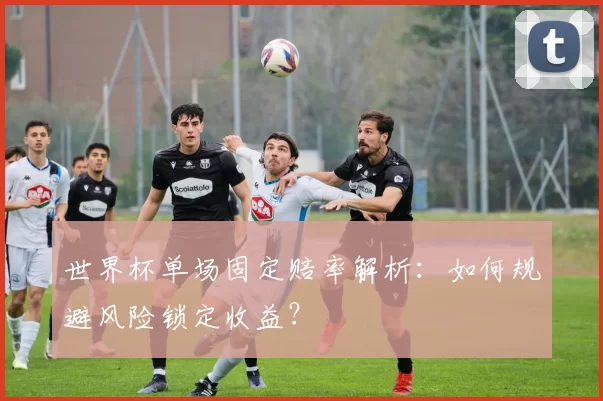 世界杯单场固定赔率解析：如何规避风险锁定收益？