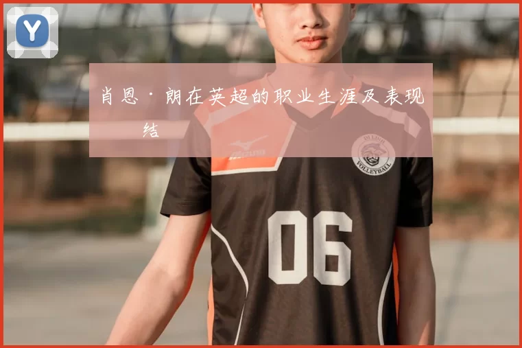 肖恩·朗在英超的职业生涯及表现总结