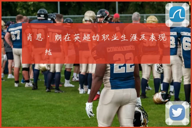 肖恩·朗在英超的职业生涯及表现总结