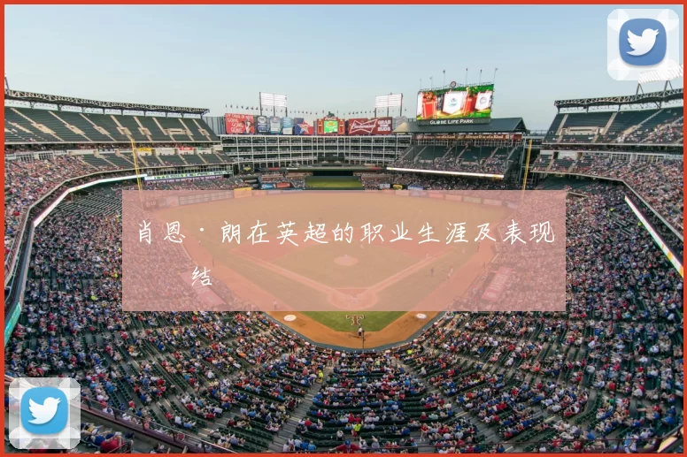 肖恩·朗在英超的职业生涯及表现总结