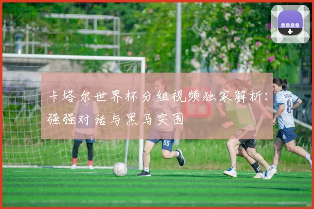 卡塔尔世界杯分组视频独家解析:强强对话与黑马突围