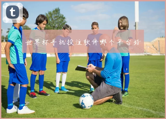 世界杯手机投注软件哪个平台好