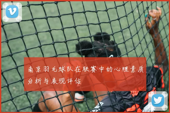 南京羽毛球队在联赛中的心理素质分析与表现评估