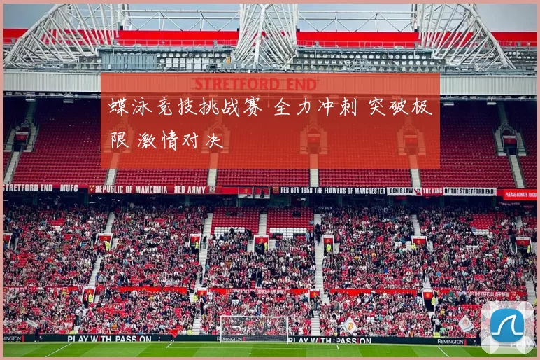 蝶泳竞技挑战赛 全力冲刺 突破极限 激情对决