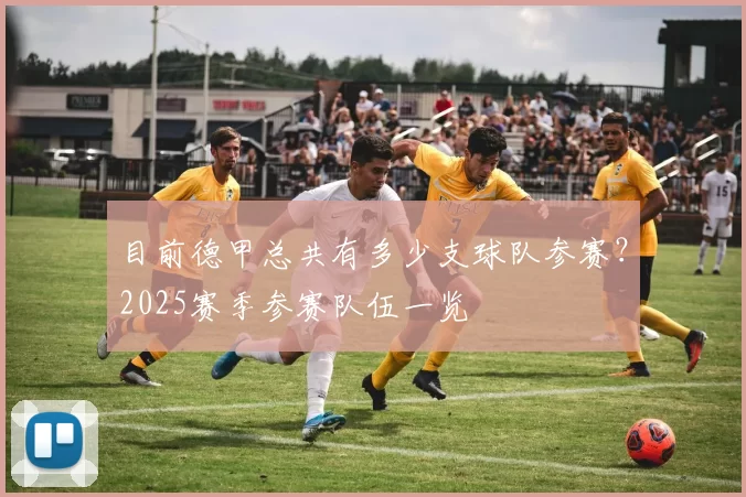 目前德甲总共有多少支球队参赛？2025赛季参赛队伍一览