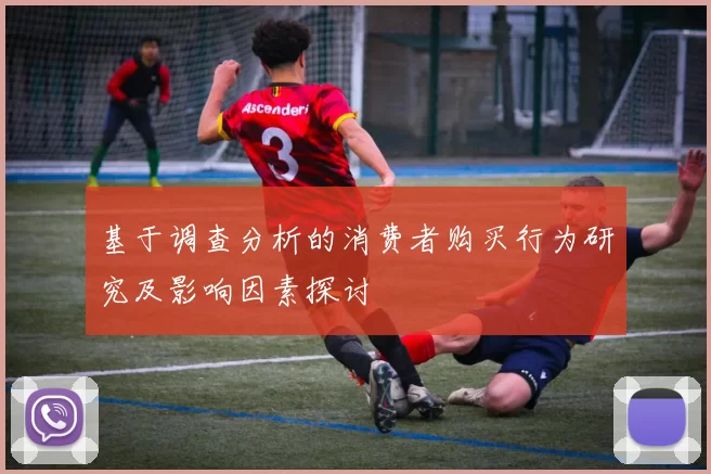 基于调查分析的消费者购买行为研究及影响因素探讨
