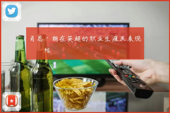 肖恩·朗在英超的职业生涯及表现总结