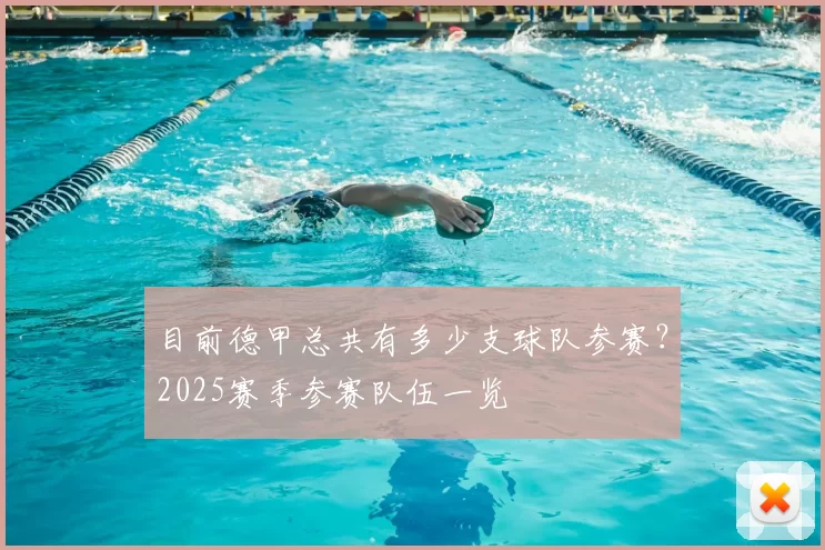 目前德甲总共有多少支球队参赛？2025赛季参赛队伍一览