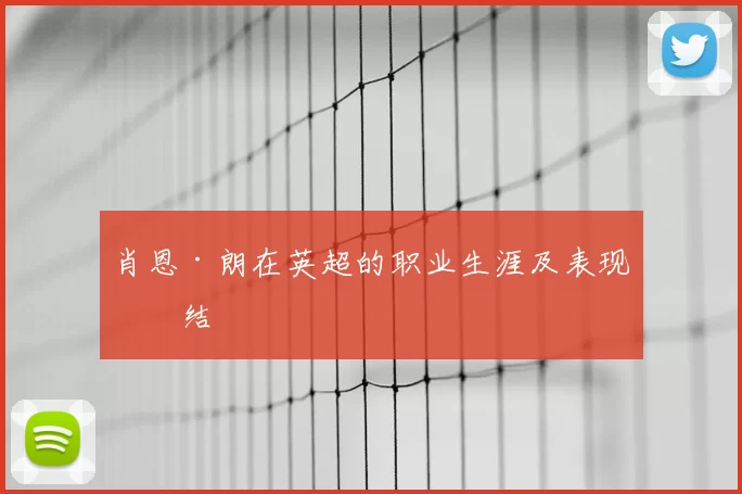 肖恩·朗在英超的职业生涯及表现总结