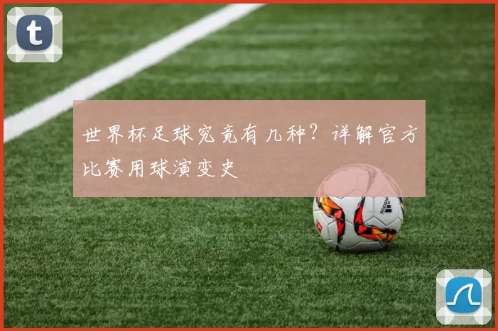 世界杯足球究竟有几种？详解官方比赛用球演变史