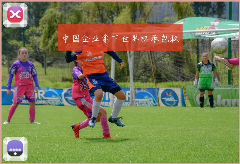 中国企业拿下世界杯承包权