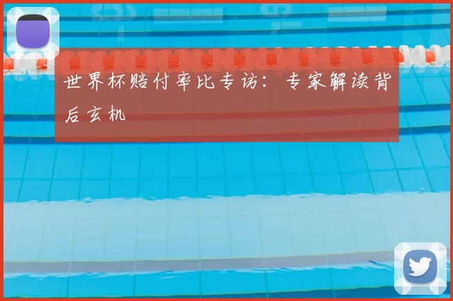 世界杯赔付率比专访:专家解读背后玄机