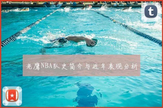 老鹰NBA队史简介与近年表现分析