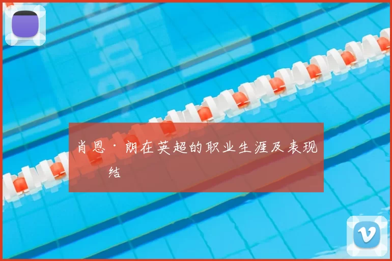 肖恩·朗在英超的职业生涯及表现总结