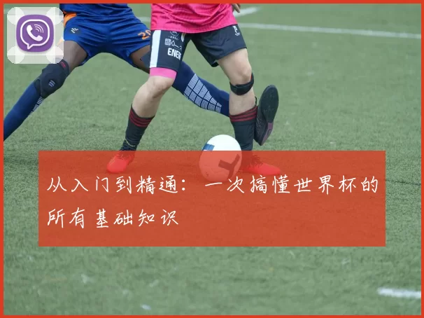 从入门到精通:一次搞懂世界杯的所有基础知识