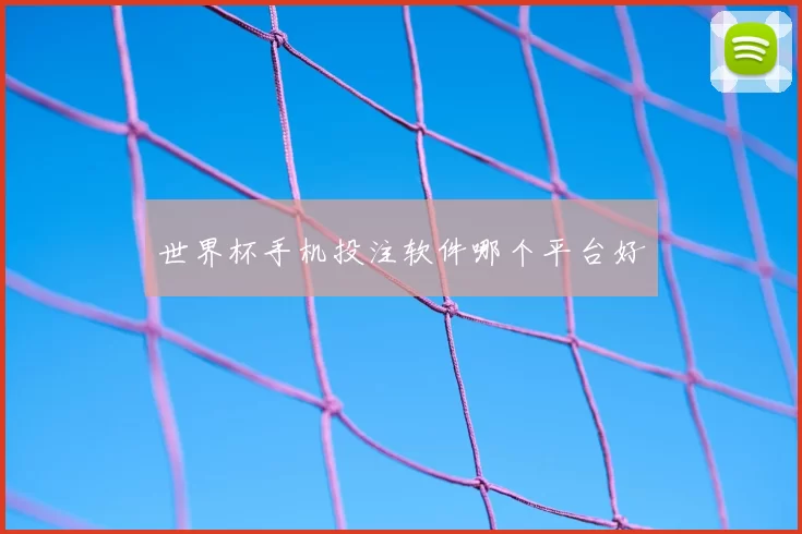 世界杯手机投注软件哪个平台好