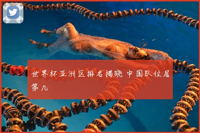 世界杯亚洲区排名揭晓 中国队位居第几