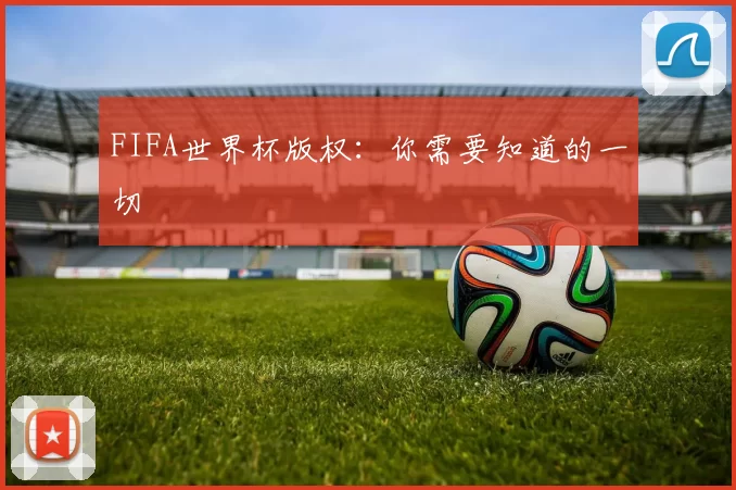 FIFA世界杯版权：你需要知道的一切