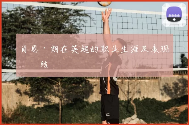 肖恩·朗在英超的职业生涯及表现总结