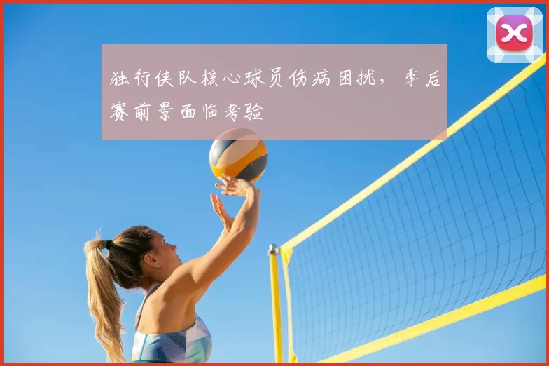 独行侠队核心球员伤病困扰，季后赛前景面临考验