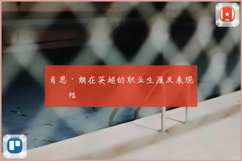 肖恩·朗在英超的职业生涯及表现总结