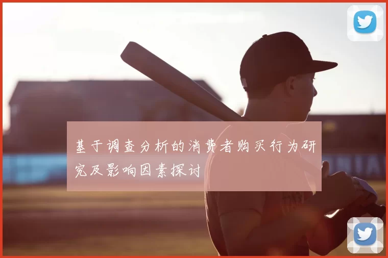 基于调查分析的消费者购买行为研究及影响因素探讨