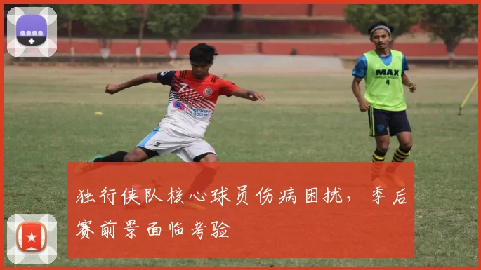 独行侠队核心球员伤病困扰，季后赛前景面临考验